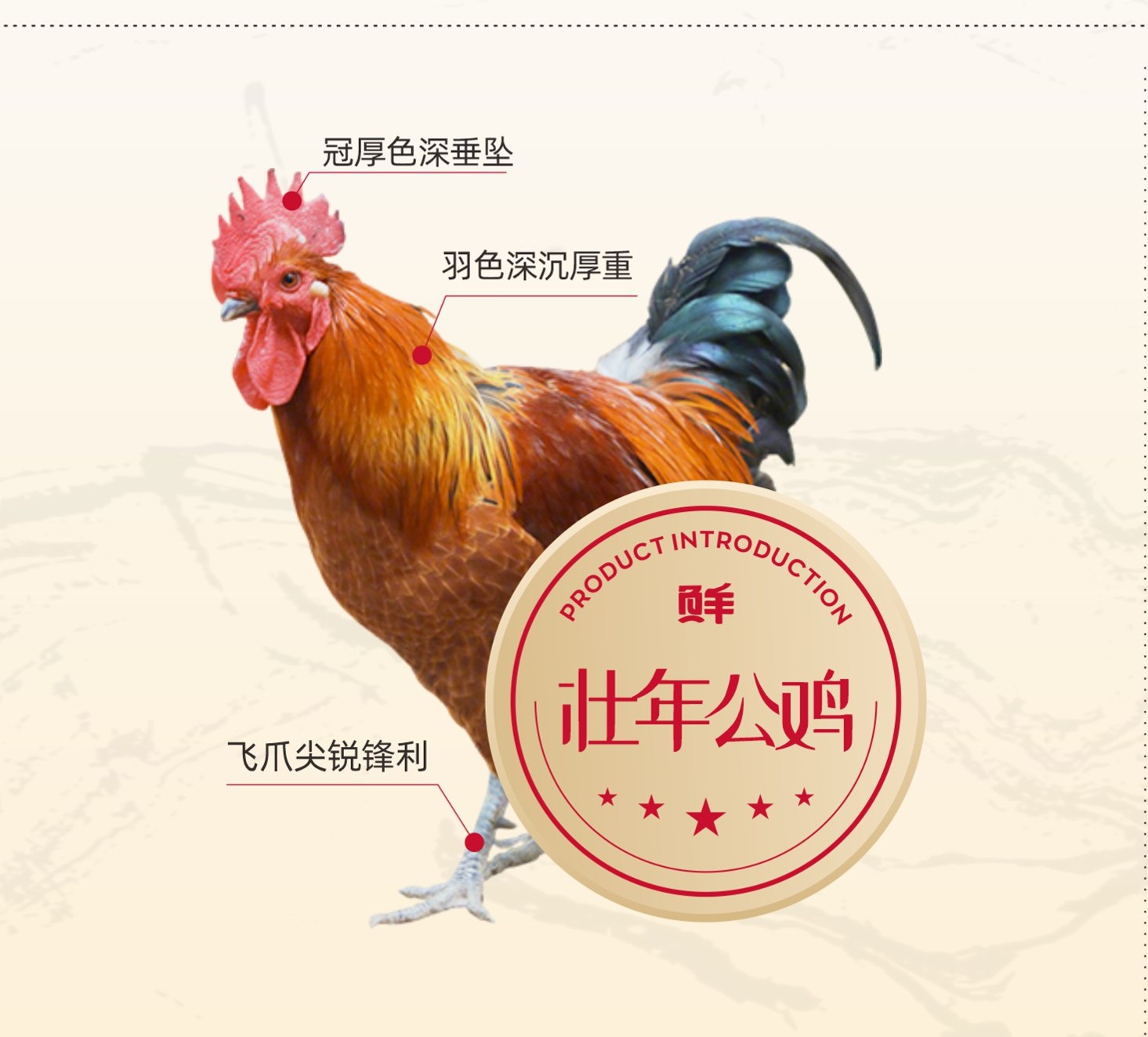 从山林到餐桌，三德子如何做好一只生态土鸡